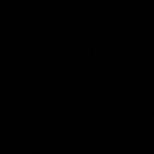 Meet your Posher, Leotrim